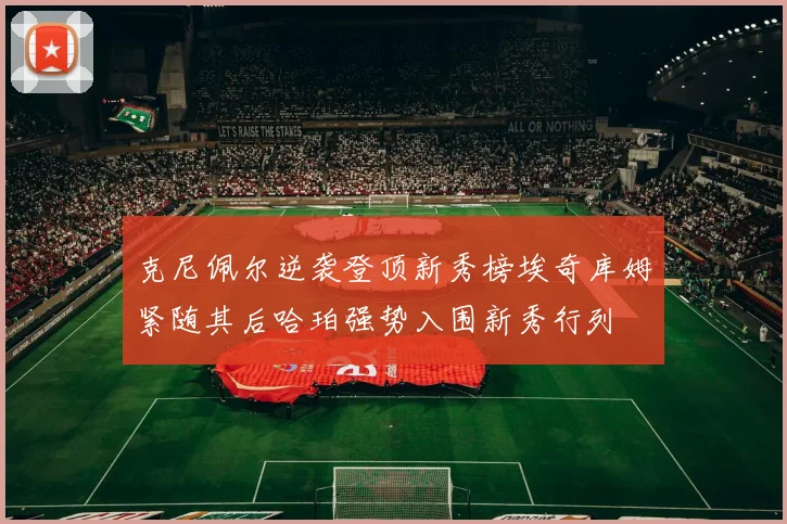 克尼佩尔逆袭登顶新秀榜埃奇库姆紧随其后哈珀强势入围新秀行列