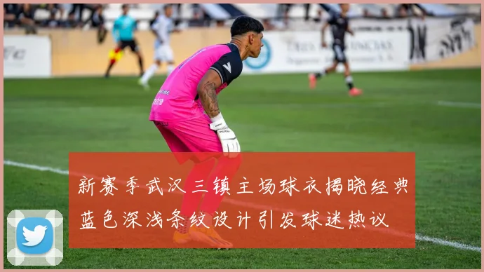 新赛季武汉三镇主场球衣揭晓经典蓝色深浅条纹设计引发球迷热议